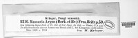 Splanchnonema argus image